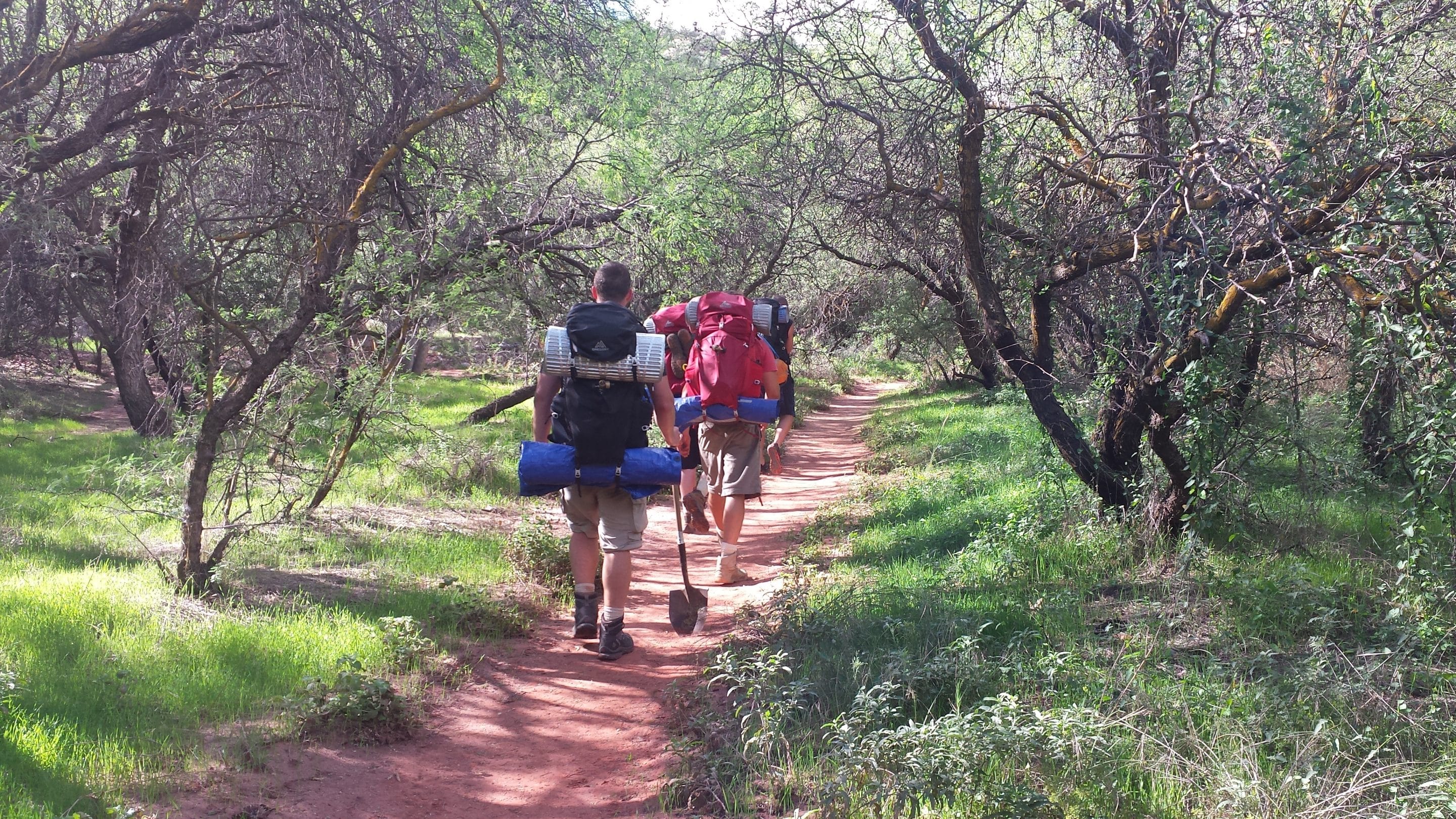 Kicking Habits and Getting Sober Through Exercise