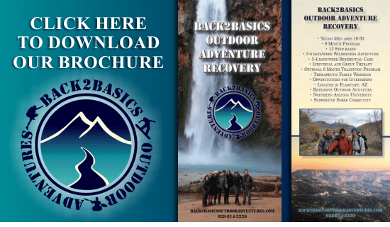 Back 2 Basics Outdoor Adventure Therapy Brochure