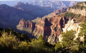 Back 2 Basics Grand Canyon