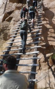 young men climbing ladder