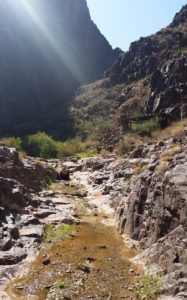 Grandy Canyon adventures