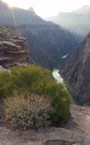 Grand Canyon adventures