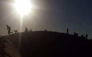running at Zion national park