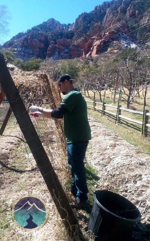 03-Farming - 3 Young Man Farming