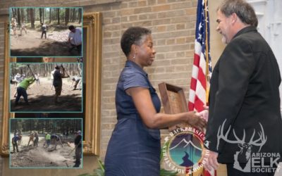 Back2Basics Recognized USFS National Partnership Award by Arizona Elk Society