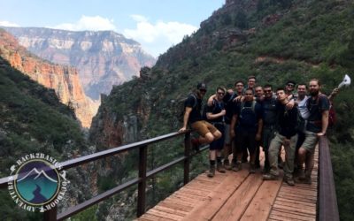 If You’re On The Fence Back2Basics Can Help