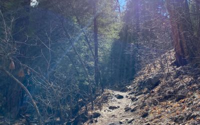 Program Experience at B2B