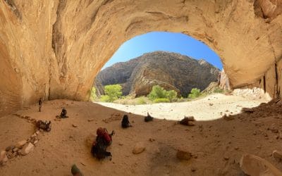 I Was Able to Gain the Knowledge to Get My Life on Track