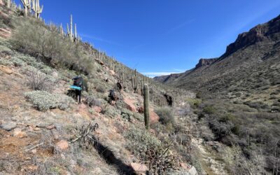 My life before Back2Basics was a tragedy.